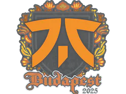 Sticker fnatic | Budapest 2025 - Preço e onde comprar no CS2