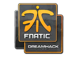 Sticker Fnatic | DreamHack 2014 - Preço e onde comprar no CS2