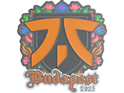 Sticker fnatic (Embroidered) | Budapest 2025 - Preço e onde comprar no CS2