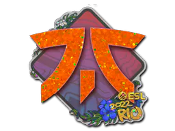 Sticker Fnatic (Glitter) | Rio 2022 - Preço e onde comprar no CS2