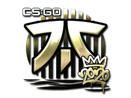 Sticker Fnatic (Gold) | 2020 RMR - Preço e onde comprar no CS2