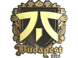 Sticker fnatic (Gold) | Budapest 2025 - Preço e onde comprar no CS2