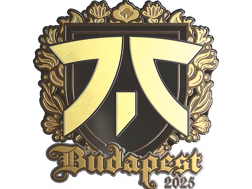 Sticker fnatic (Gold) | Budapest 2025 - Preço e onde comprar no CS2