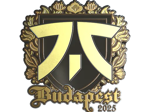 Sticker fnatic (Gold) | Budapest 2025 - Preço e onde comprar no CS2