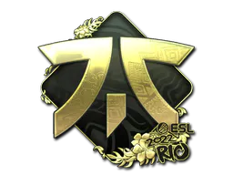 Sticker Fnatic (Gold) | Rio 2022 - Preço e onde comprar no CS2
