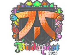 Sticker fnatic (Holo) | Budapest 2025 - Preço e onde comprar no CS2