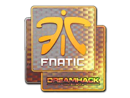 Sticker Fnatic (Holo) | DreamHack 2014 - Preço e onde comprar no CS2