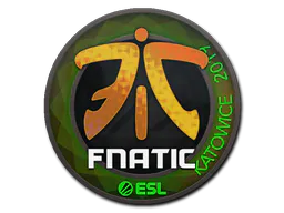 Sticker Fnatic (Holo) | Katowice 2019 - Preço e onde comprar no CS2
