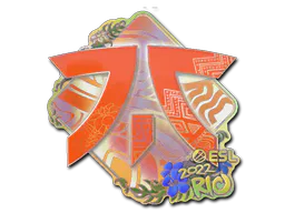 Sticker Fnatic (Holo) | Rio 2022 - Preço e onde comprar no CS2