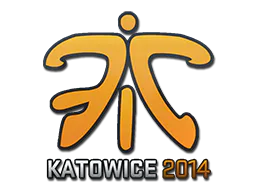 Sticker Fnatic | Katowice 2014 - Preço e onde comprar no CS2