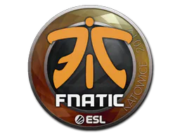 Sticker Fnatic | Katowice 2019 - Preço e onde comprar no CS2