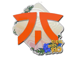Sticker Fnatic | Rio 2022 - Preço e onde comprar no CS2