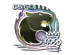 Sticker FURIA (Foil) | 2020 RMR - Preço e onde comprar no CS2