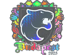 Sticker FURIA (Holo) | Budapest 2025 - Preço e onde comprar no CS2