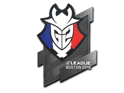 Sticker G2 Esports | Boston 2018 - Preço e onde comprar no CS2
