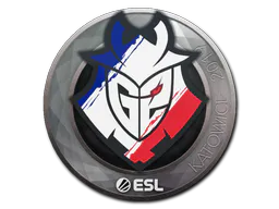 Sticker G2 Esports | Katowice 2019 - Preço e onde comprar no CS2