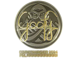 Sticker Goofy (Gold) | Copenhagen 2024 - Preço e onde comprar no CS2