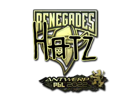 Sticker hatz (Gold) | Antwerp 2022 - Preço e onde comprar no CS2