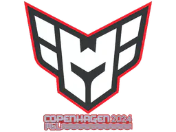 Sticker Heroic | Copenhagen 2024 - Preço e onde comprar no CS2
