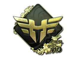 Sticker Heroic (Gold) | Rio 2022 - Preço e onde comprar no CS2
