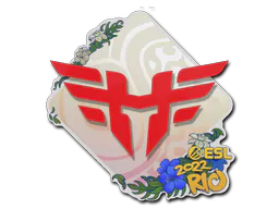 Sticker Heroic | Rio 2022 - Preço e onde comprar no CS2