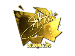 Sticker Hiko (Gold) | Cologne 2016 - Preço e onde comprar no CS2