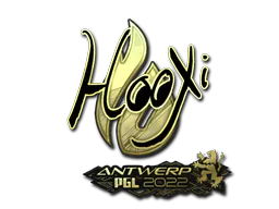 Sticker HooXi (Gold) | Antwerp 2022 - Preço e onde comprar no CS2