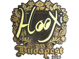 Sticker HooXi (Gold) | Budapest 2025 - Preço e onde comprar no CS2