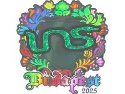 Sticker INS (Holo) | Budapest 2025 - Preço e onde comprar no CS2