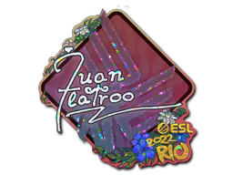 Sticker juanflatroo (Glitter) | Rio 2022 - Preço e onde comprar no CS2
