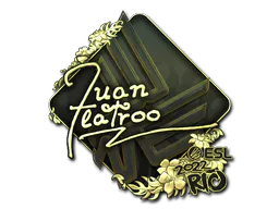 Sticker juanflatroo (Gold) | Rio 2022 - Preço e onde comprar no CS2