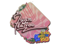 Sticker juanflatroo | Rio 2022 - Preço e onde comprar no CS2