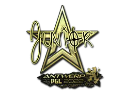 Sticker junior (Gold) | Antwerp 2022 - Preço e onde comprar no CS2