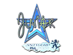 Sticker junior (Holo) | Antwerp 2022 - Preço e onde comprar no CS2