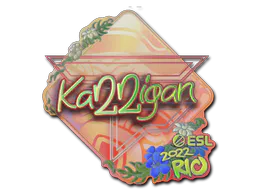 Sticker karrigan (Holo) | Rio 2022 - Preço e onde comprar no CS2