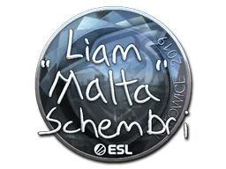 Sticker malta (Foil) | Katowice 2019 - Preço e onde comprar no CS2