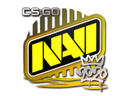 Sticker Natus Vincere | 2020 RMR - Preço e onde comprar no CS2