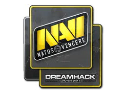 Sticker Natus Vincere | DreamHack 2014 - Preço e onde comprar no CS2