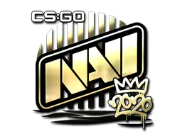 Sticker Natus Vincere (Gold) | 2020 RMR - Preço e onde comprar no CS2