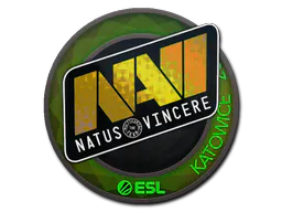 Sticker Natus Vincere (Holo) | Katowice 2019 - Preço e onde comprar no CS2