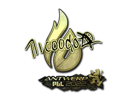 Sticker nicoodoz (Gold) | Antwerp 2022 - Preço e onde comprar no CS2