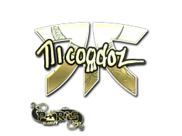 Sticker nicoodoz (Gold) | Paris 2023 - Preço e onde comprar no CS2