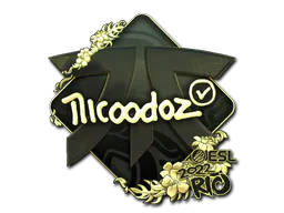 Sticker nicoodoz (Gold) | Rio 2022 - Preço e onde comprar no CS2