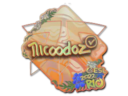 Sticker nicoodoz (Holo) | Rio 2022 - Preço e onde comprar no CS2
