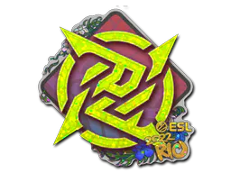 Sticker Ninjas in Pyjamas (Glitter) | Rio 2022 - Preço e onde comprar no CS2