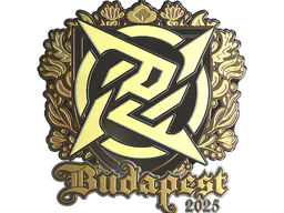Sticker Ninjas in Pyjamas (Gold) | Budapest 2025 - Preço e onde comprar no CS2