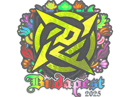 Sticker Ninjas in Pyjamas (Holo) | Budapest 2025 - Preço e onde comprar no CS2