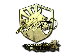 Sticker nitr0 (Gold) | Antwerp 2022 - Preço e onde comprar no CS2