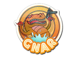 Sticker Orange Gnar - Preço e onde comprar no CS2