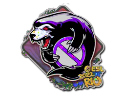 Sticker Outsiders (Glitter) | Rio 2022 - Preço e onde comprar no CS2